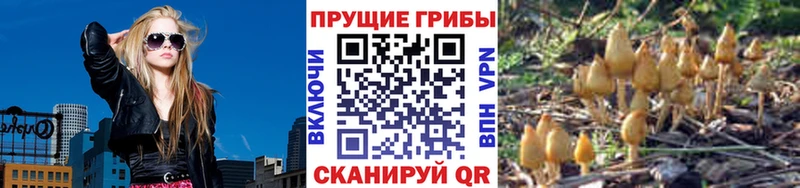 Галлюциногенные грибы ЛСД  Купить где  Холмск 